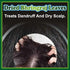 Jioo Organics Bhringraj Dry Leaves and Dry Brahmi Leaves